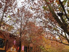 -米店·云南菜(南门店)