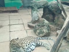 -昆明动物园