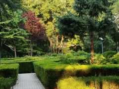 -黄村公园