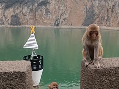 -白帝城·瞿塘峡景区