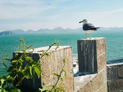 -海驴岛(荣成市)