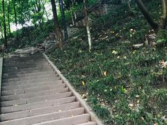 -重庆彩云湖湿地公园