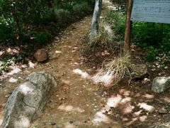 景点鲤鱼上山-南京金牛湖风景区