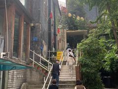 -树厨贵州菜(大十字店)