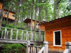 -苏木山森林公园