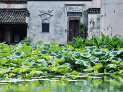 -呈坎景区