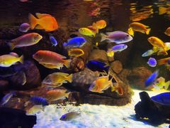 -上海海洋水族馆