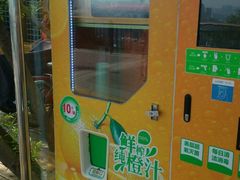-金鸡山公园
