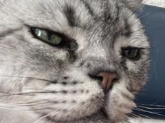 -平行世界·猫咖(首经贸店)