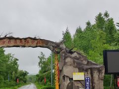 -珍宝岛