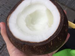 -志龙皇冠吃货椰子铺