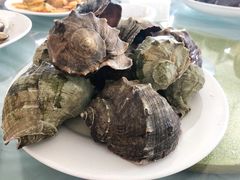 -兴旺渔家