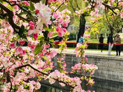 -元大都城垣遗址公园