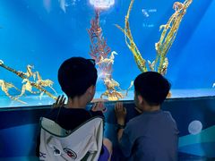 -海合安成都极地海洋公园
