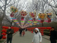 -洛阳市隋唐城遗址植物园