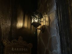 -雪灵魔法世界SHELLY’S TAROT(大良桂畔里店)