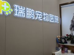 -瑞鹏宠物医院·微创内窥镜·骨外科·牙科(翠竹分院)