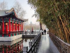 -济南大明湖景区