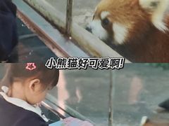 -柳州市动物园