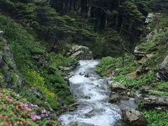 -苍山感通索道