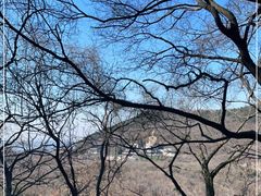 -句容茅山景区