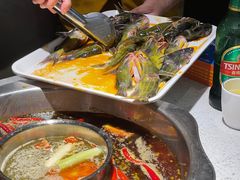 -融泽漁悦三只耳鱼火锅(南郑大道店)