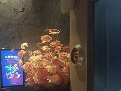 -方糖KTV-PLUS(世茂广场店)