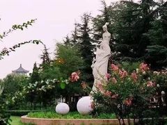 -莱西月湖公园