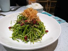 -青花椒花椒鱼(合生汇店)