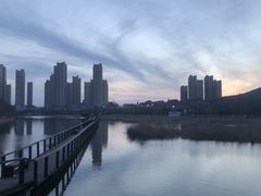 -前关湿地公园