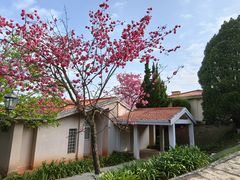 -昆明春城湖畔度假村