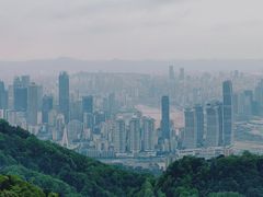 -大金鹰园