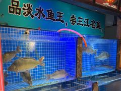 -老渔翁炖鱼坊(黄海西路东山店)