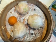 -点都德·毕德寮
