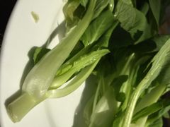 多利农庄有机体验馆-上海多利农业发展有限公司