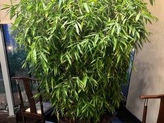 -皇城老妈·大连海鲜火锅(港湾店)