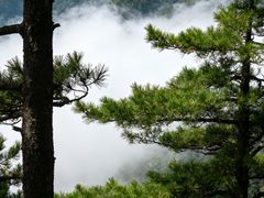 -洛阳白云山景区