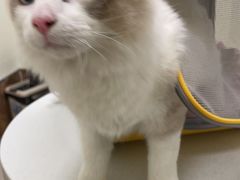 -美联众合24小时·皮肤科·外科·全科诊疗中心(华苑分院)