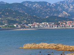 -单家老院·院子里的青岛菜(沙子口店)