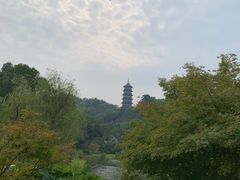 -重庆园博园