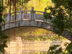 -小洲村