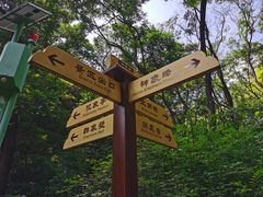 -老象峰