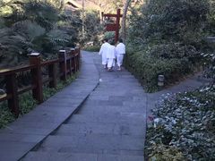 -天目湖涵田半山温泉