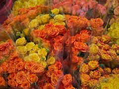 -循礼门鲜花花市(武汉循礼门店)