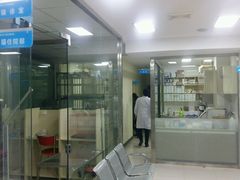 -天使宠物医院·犬猫分诊(彩虹店)