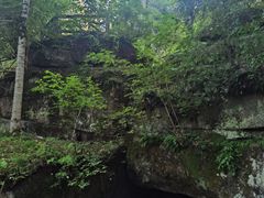 -汤旺河林海奇石景区