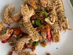 -七鲜渔港美食餐厅(巽寮湾海景店)