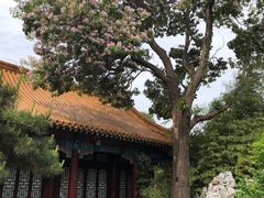 -戏马台景区