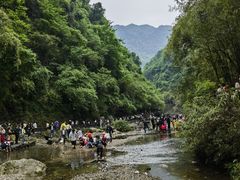 -三峡人家风景区