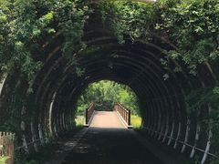 -同里国家湿地公园
